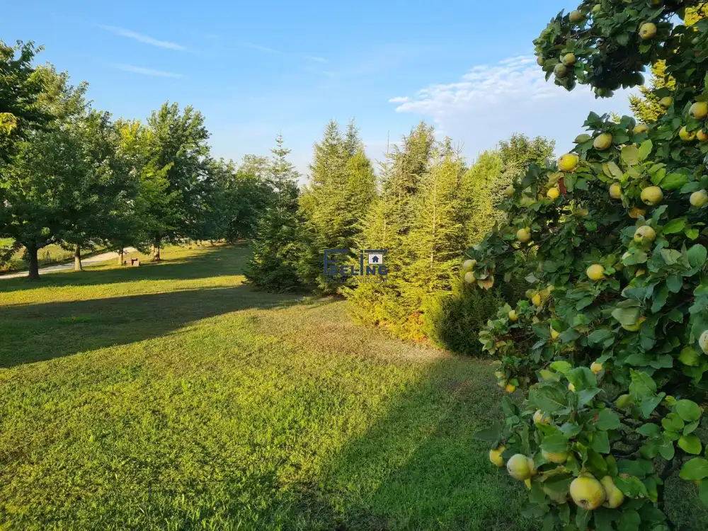 Komárom-Esztergom megye - Baj