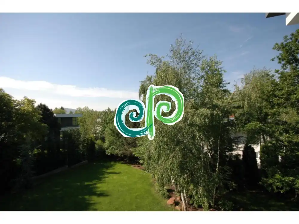 Budapest, II. kerület - Budaliget - II/A