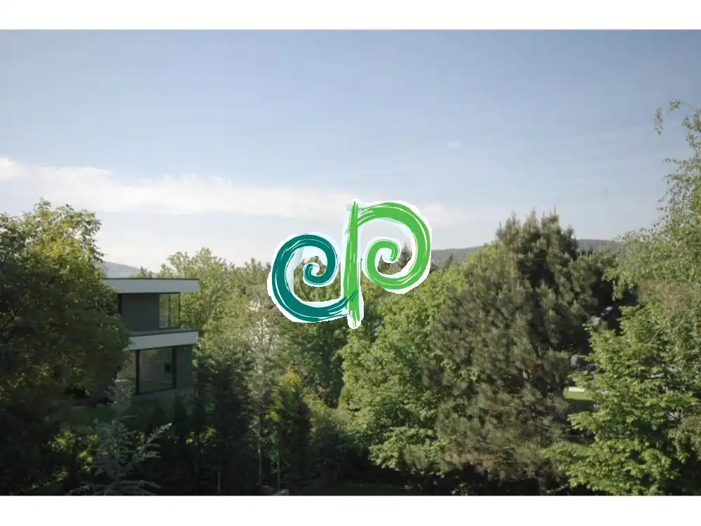 Budapest, II. kerület - Budaliget - II/A