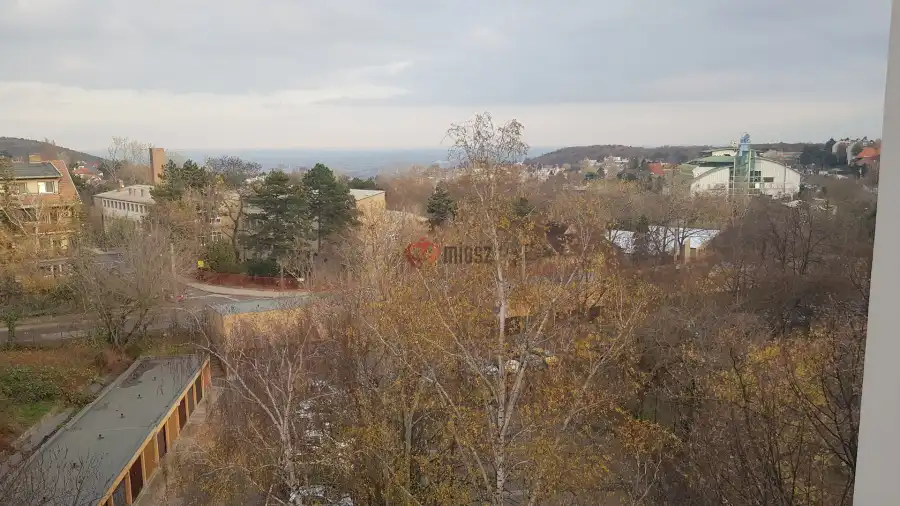 Albérlet, kiadó téglalakás, Budapest, II. kerület