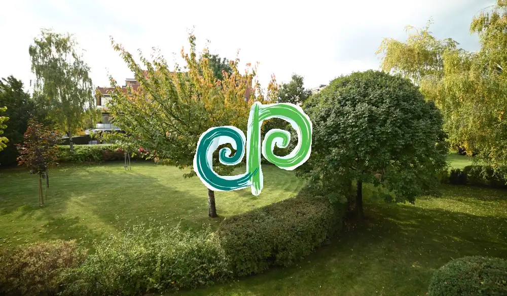 Budapest, XI. kerület - Spanyolrét