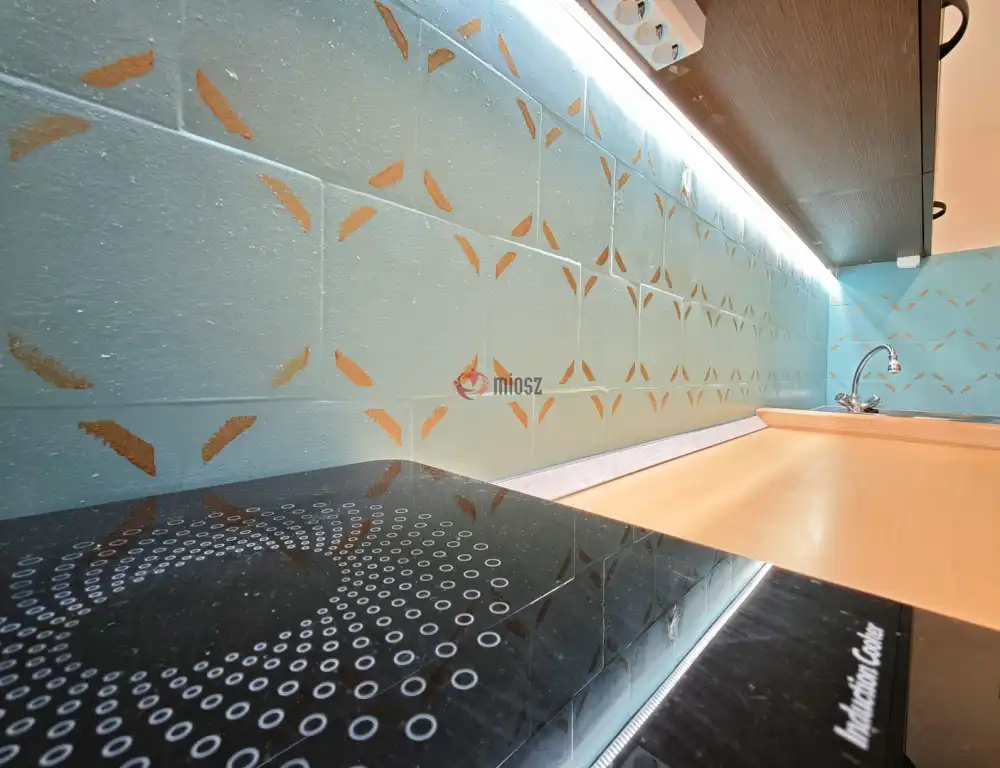 Csongrád megye - Szeged