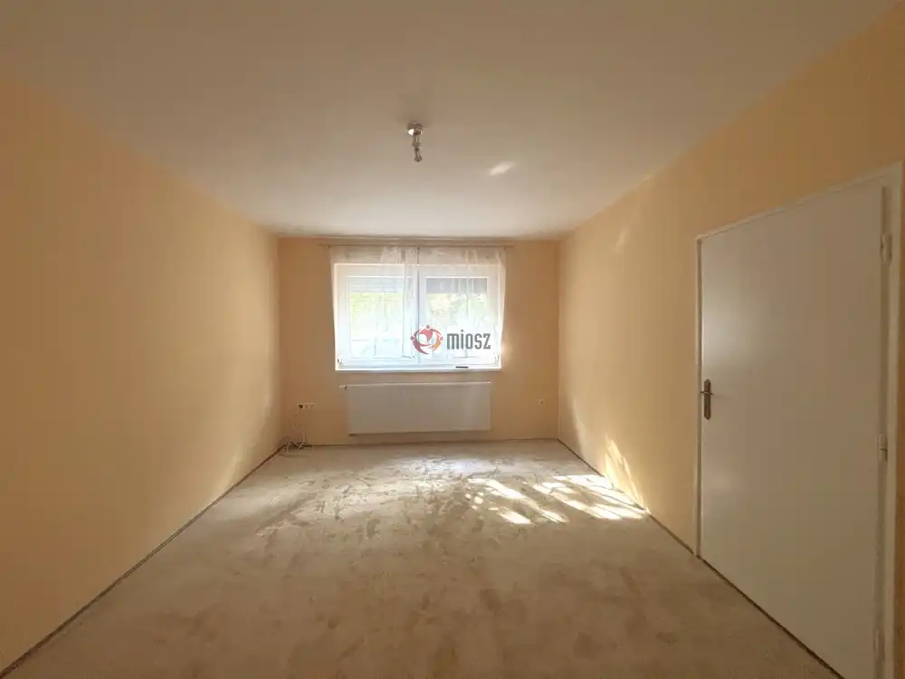 Csongrád megye - Szeged