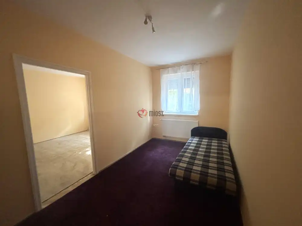 Csongrád megye - Szeged