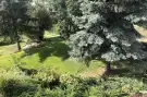 Pest megye - Budaörs