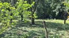 Borsod-Abaúj-Zemplén megye - Abaújszántó