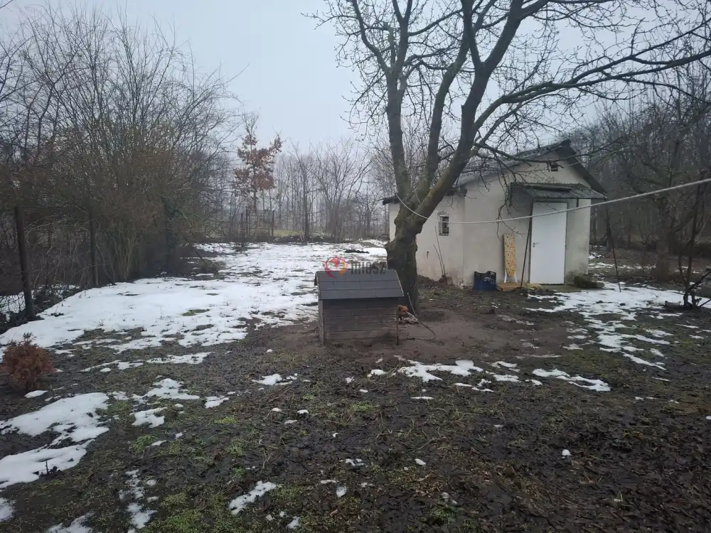 Pest megye - Albertirsa