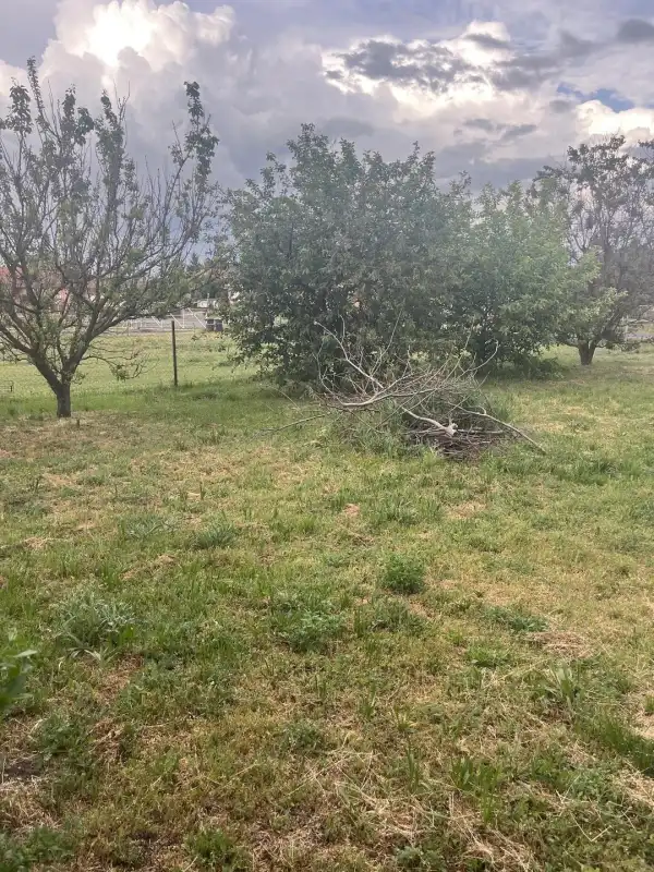 Eladó családi ház, Albertirsa 2 szoba 53 m² 23 M Ft