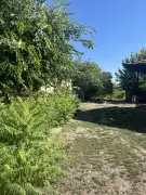 Pest megye - Albertirsa