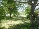 Pest megye - Albertirsa