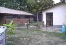 Pest megye - Albertirsa