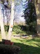 Pest megye - Albertirsa