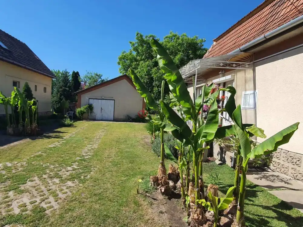 Pest megye - Albertirsa