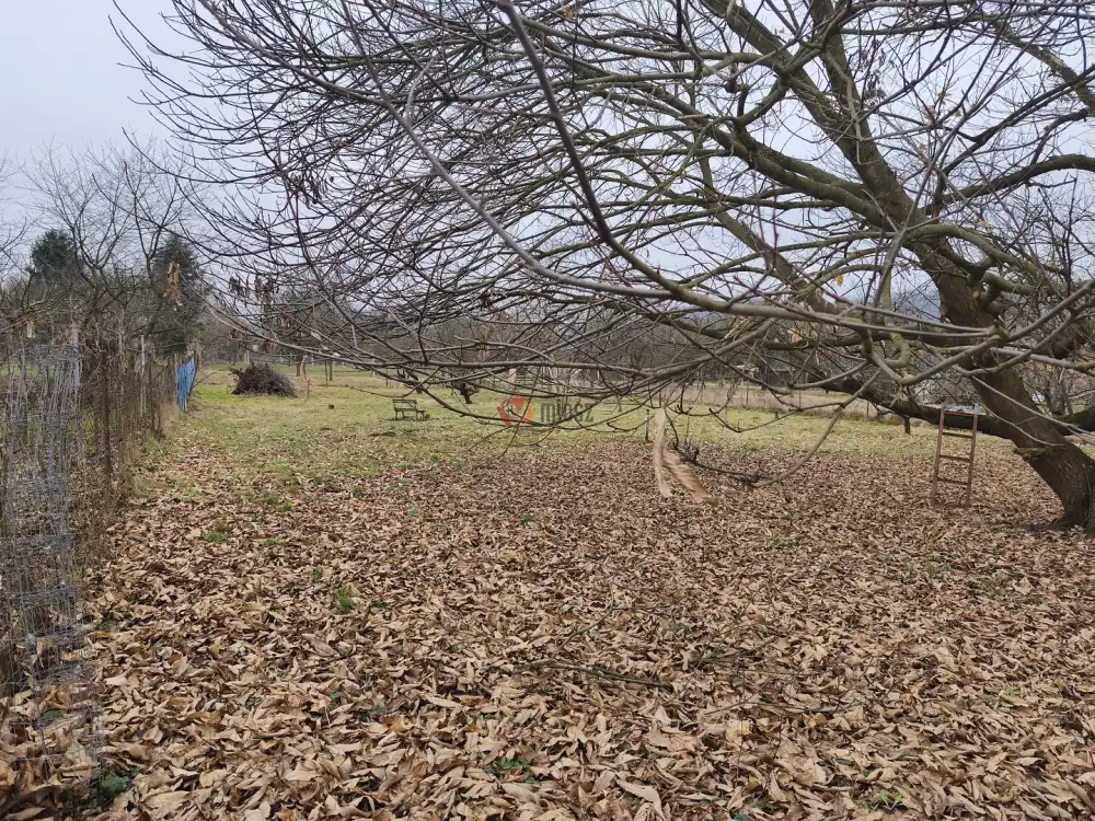 Zala megye - Babosdöbréte