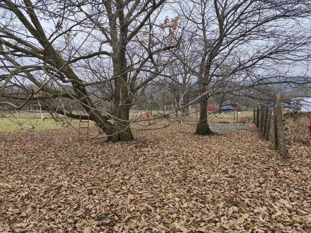 Zala megye - Babosdöbréte