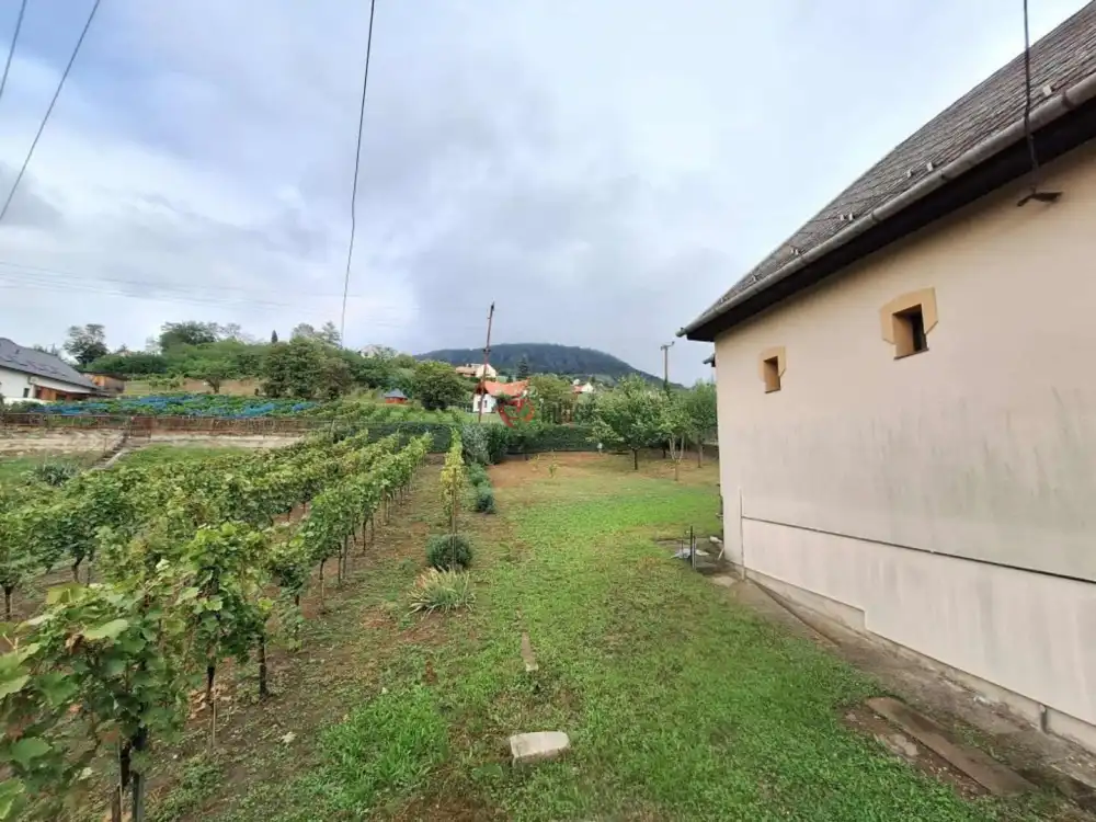 Veszprém megye - Badacsonytomaj