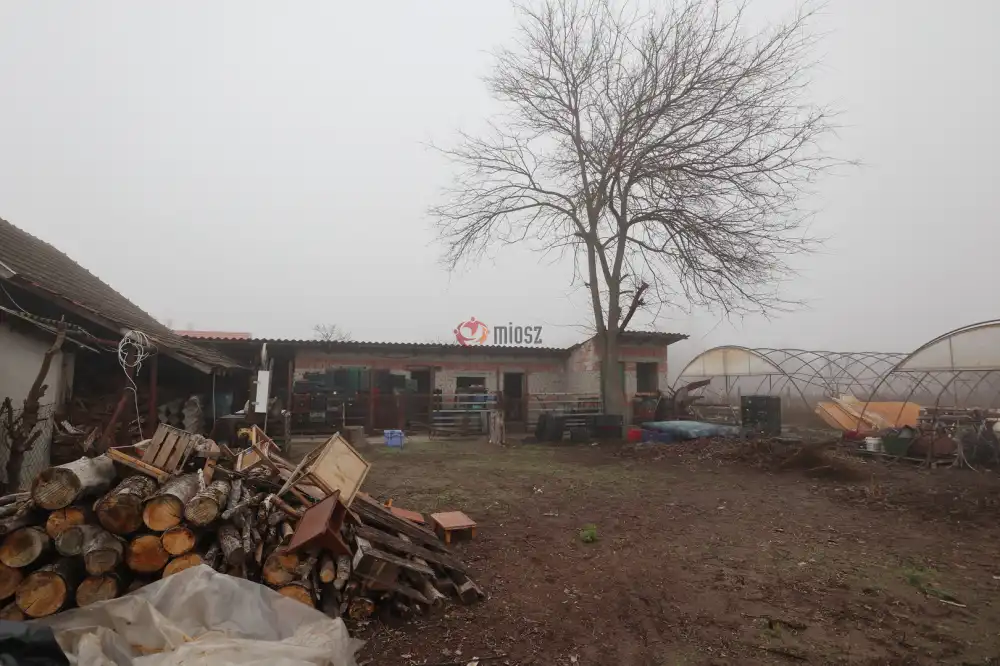 Csongrád megye - Balástya