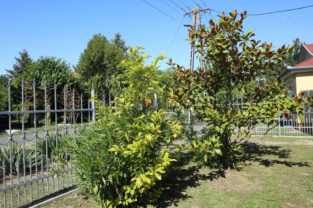 Somogy megye - Balatonfenyves