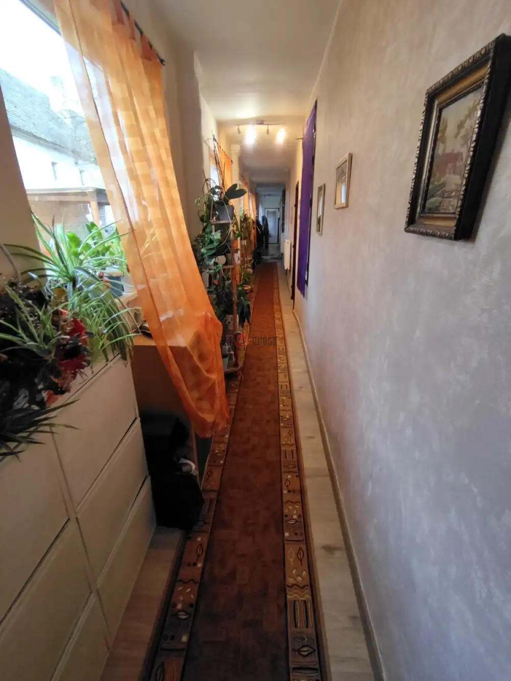 Baranya megye - Bár