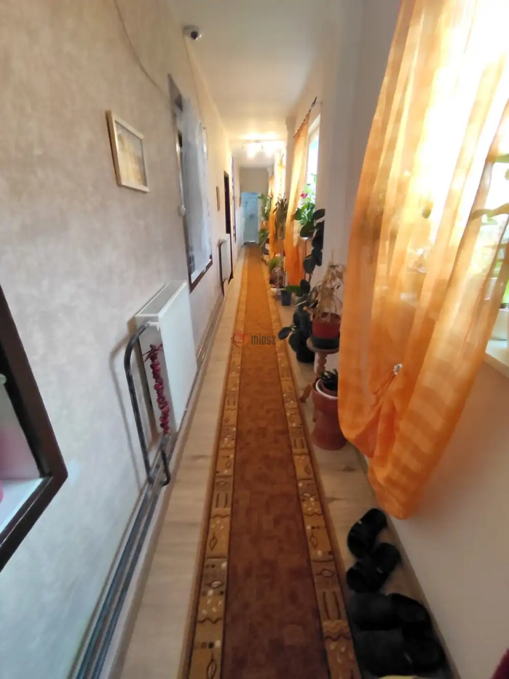 Baranya megye - Bár