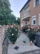 Békés megye - Békéscsaba