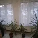 Békés megye - Békéscsaba