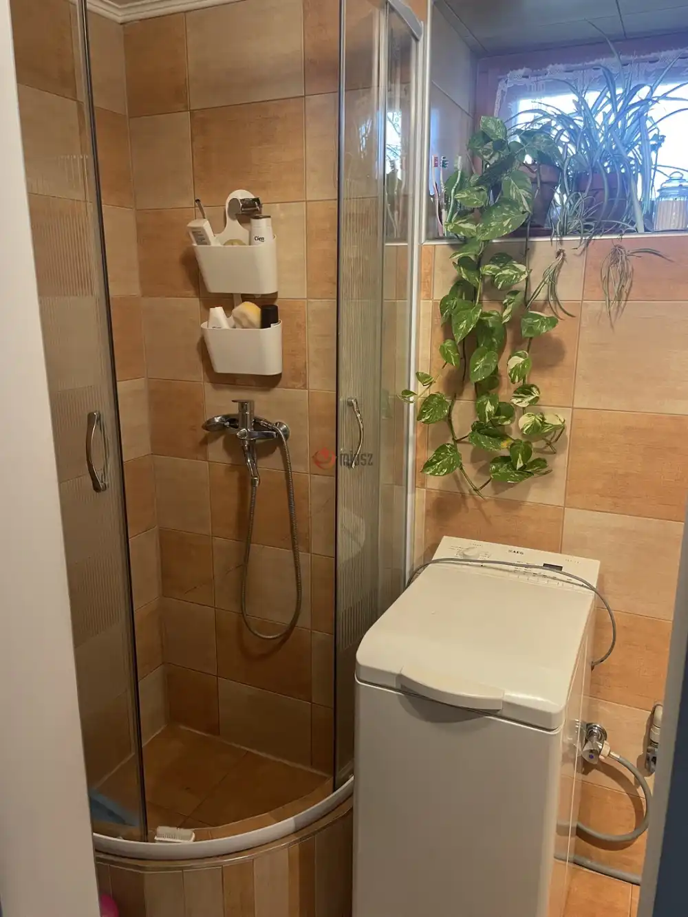 Békés megye - Békéscsaba