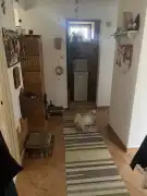 Békés megye - Békéscsaba