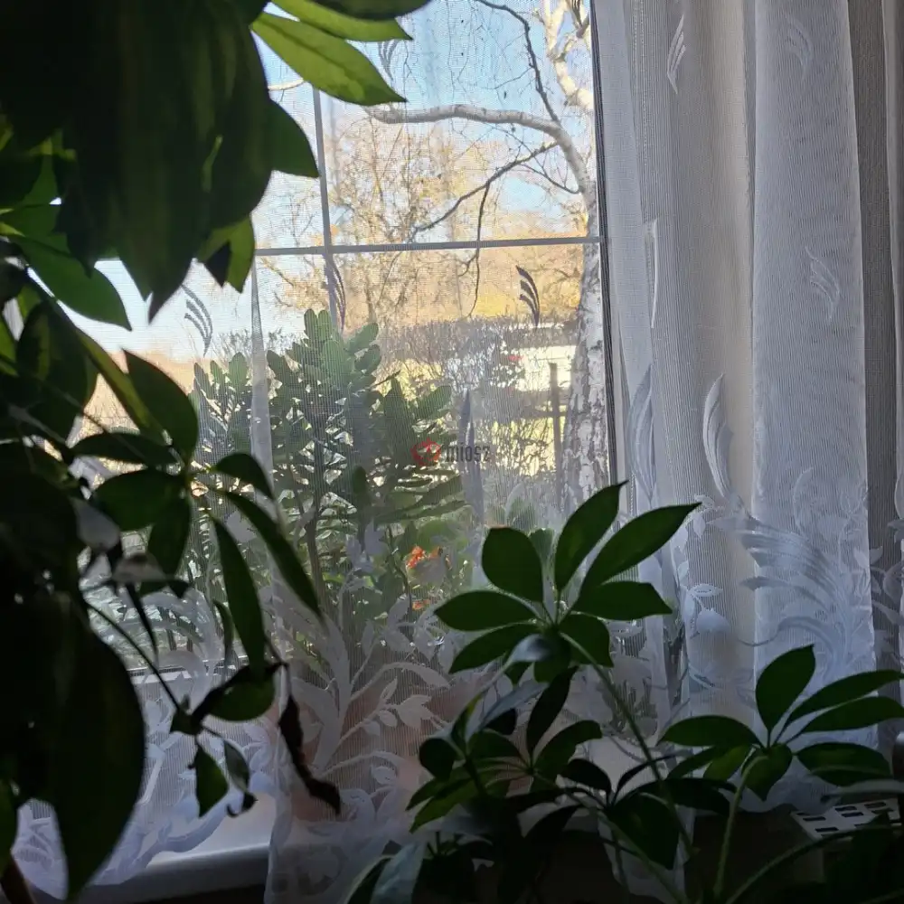 Fejér megye - Bicske