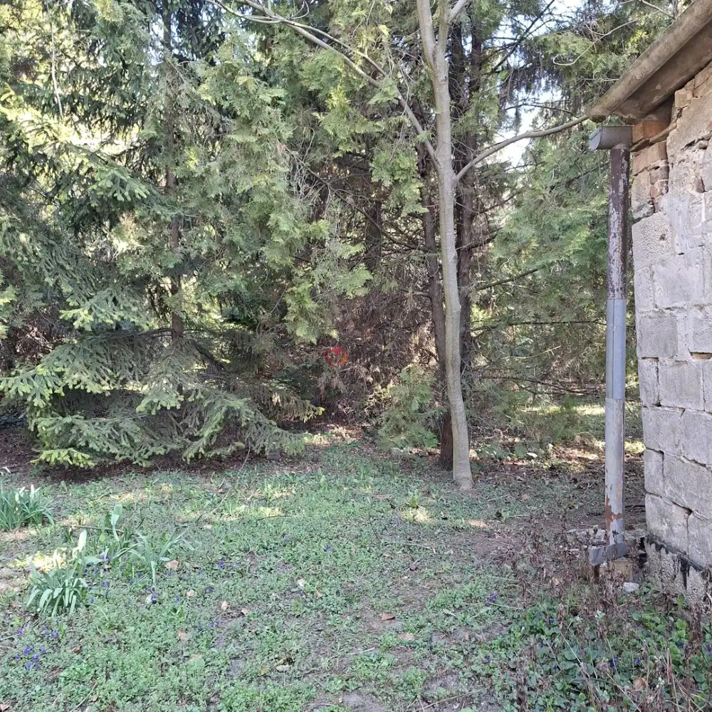 Fejér megye - Bicske