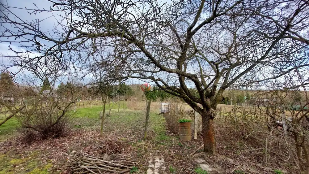 Borsod-Abaúj-Zemplén megye - Bodrogkeresztúr