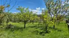 Borsod-Abaúj-Zemplén megye - Boldogkőváralja