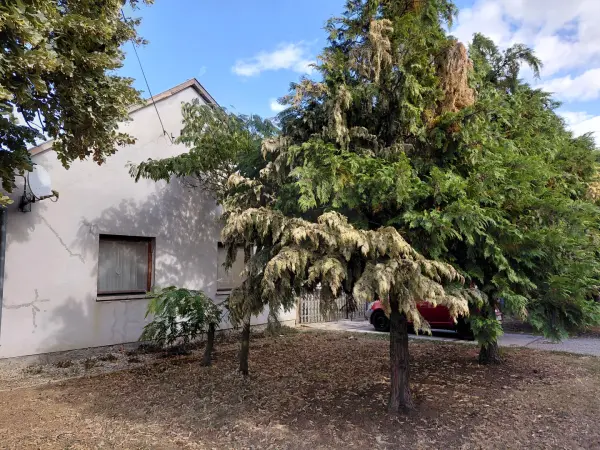 Eladó családi ház, Bóly 4 szoba 110 m² 24.9 M Ft