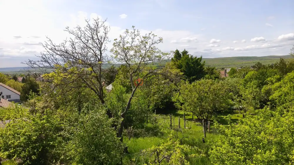 Pest megye - Budakeszi