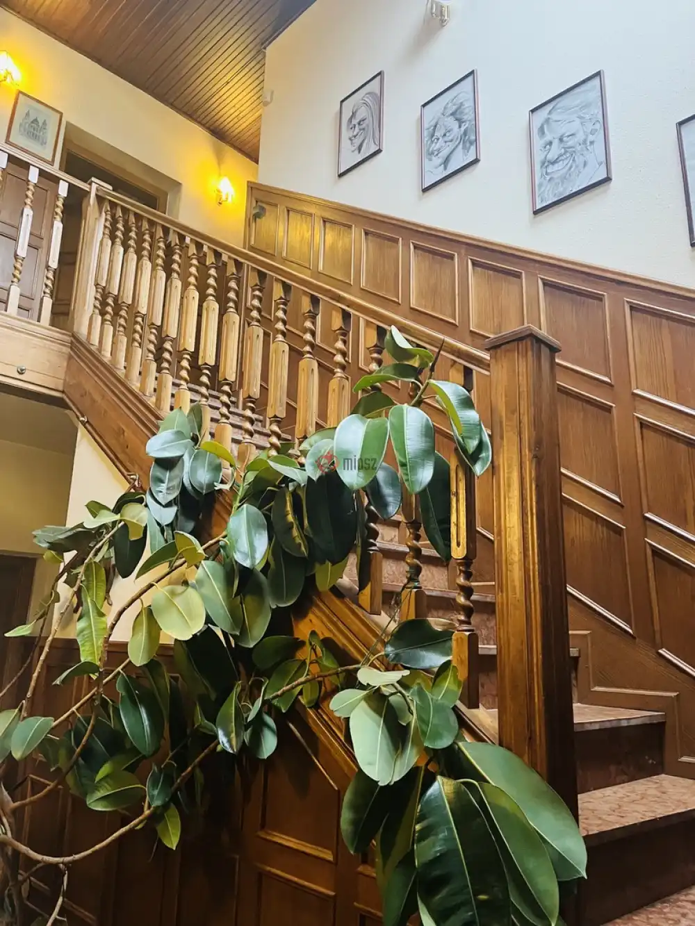 Budapest, XVI. kerület - Mátyásföld - Petőfikert