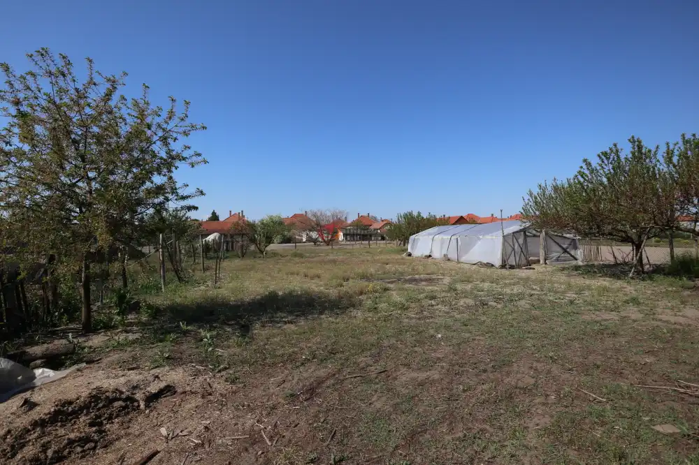 Csongrád megye - Csengele