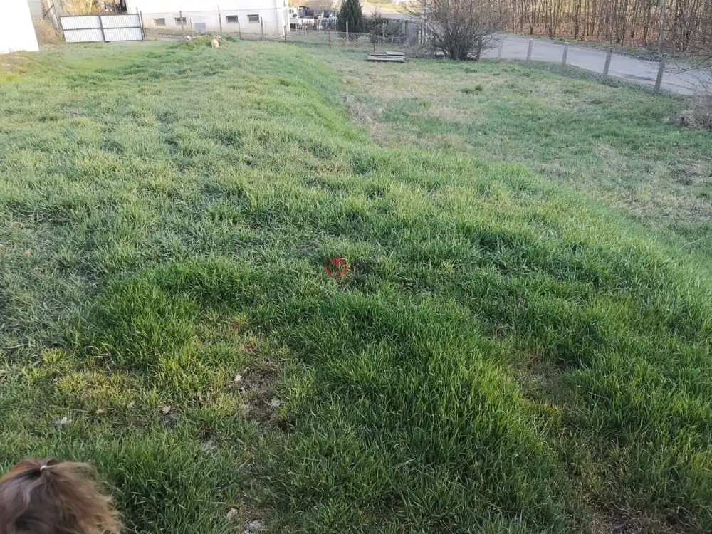 Nógrád megye - Cserháthaláp