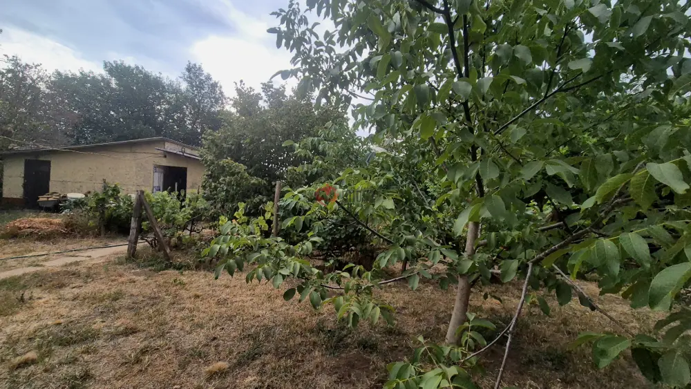 Hajdú-Bihar megye - Debrecen