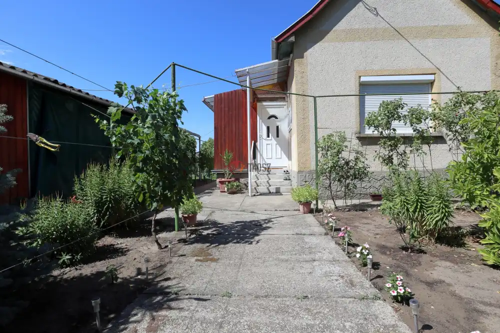 Csongrád megye - Domaszék