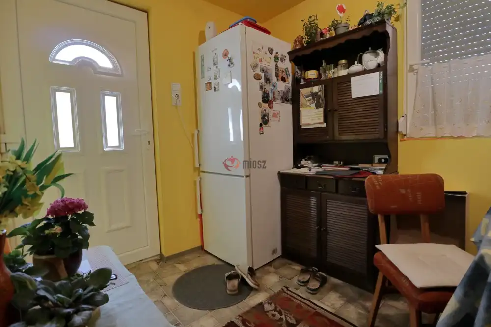 Csongrád megye - Domaszék