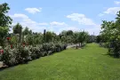 Csongrád megye - Domaszék