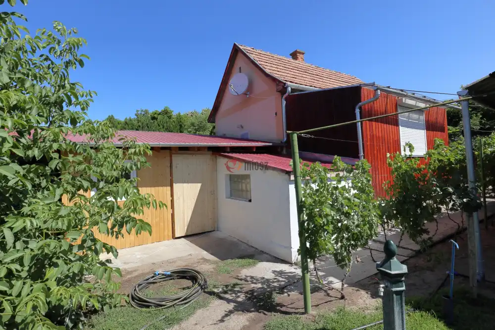 Csongrád megye - Domaszék