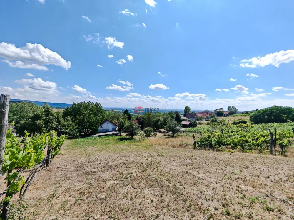 Komárom-Esztergom megye - Dunaszentmiklós