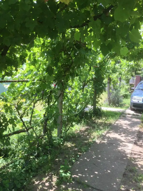 Eladó családi ház, Ecséd 3 szoba 78 m² 23.4 M Ft