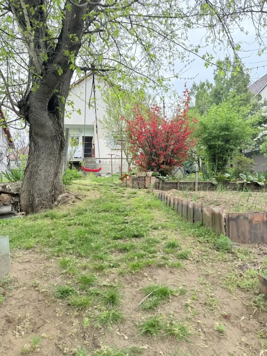 eladó családi ház, Erdőkertes