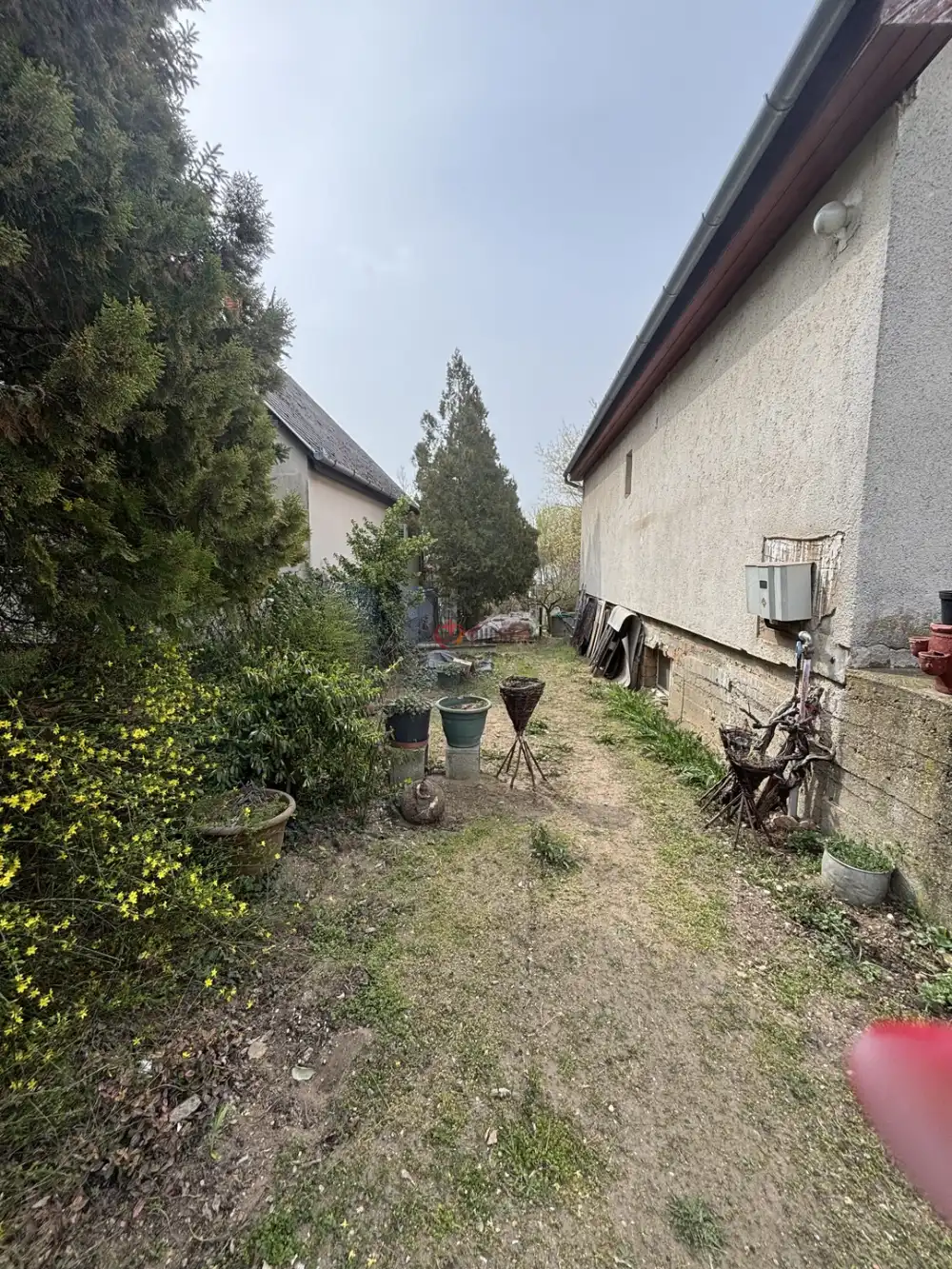 Pest megye - Erdőkertes