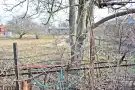 Borsod-Abaúj-Zemplén megye - Felsőzsolca
