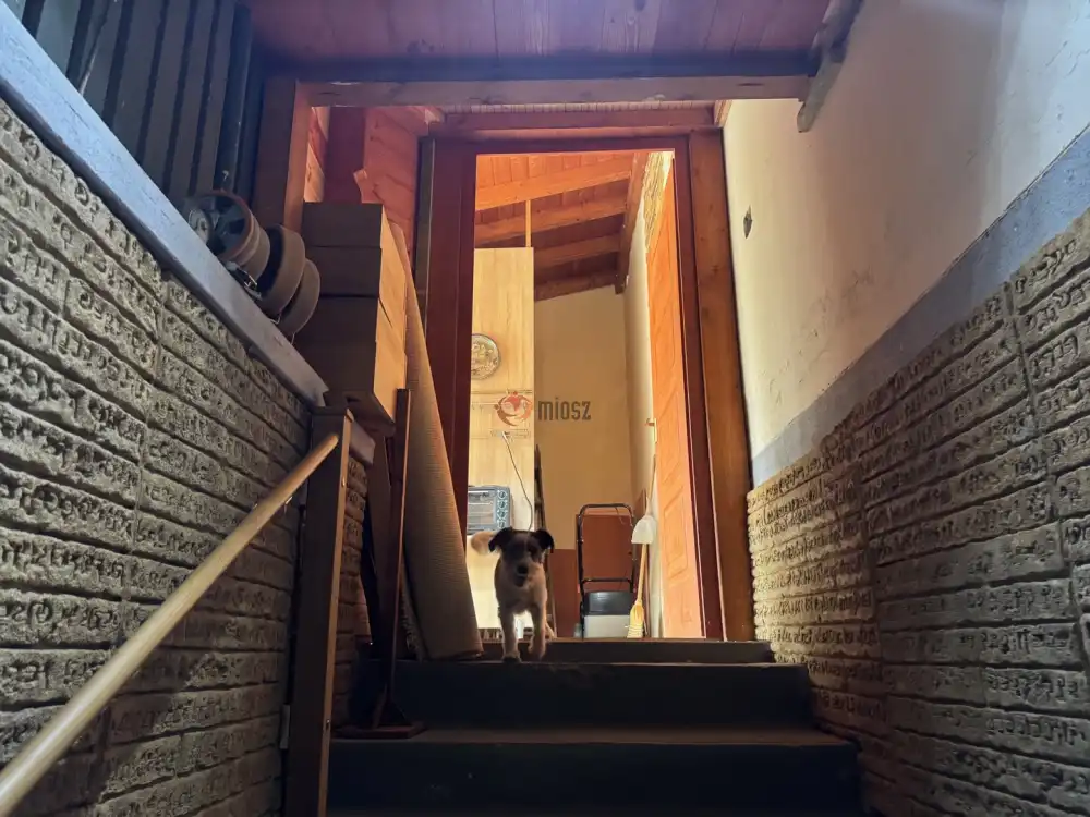 Pest megye - Galgahévíz