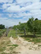 Zala megye - Garabonc