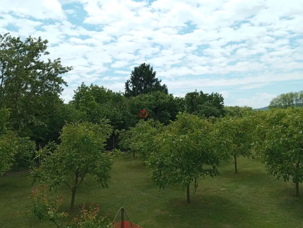 Zala megye - Garabonc